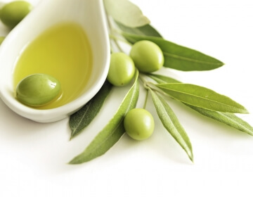 olive oil in spoon on olive branch